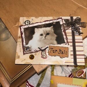 Cat Photo Frame with Black and Brown Accents